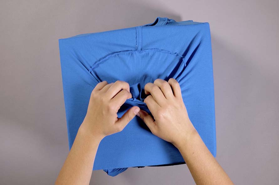 DIY cat toys Battersea Dogs & Cats Home